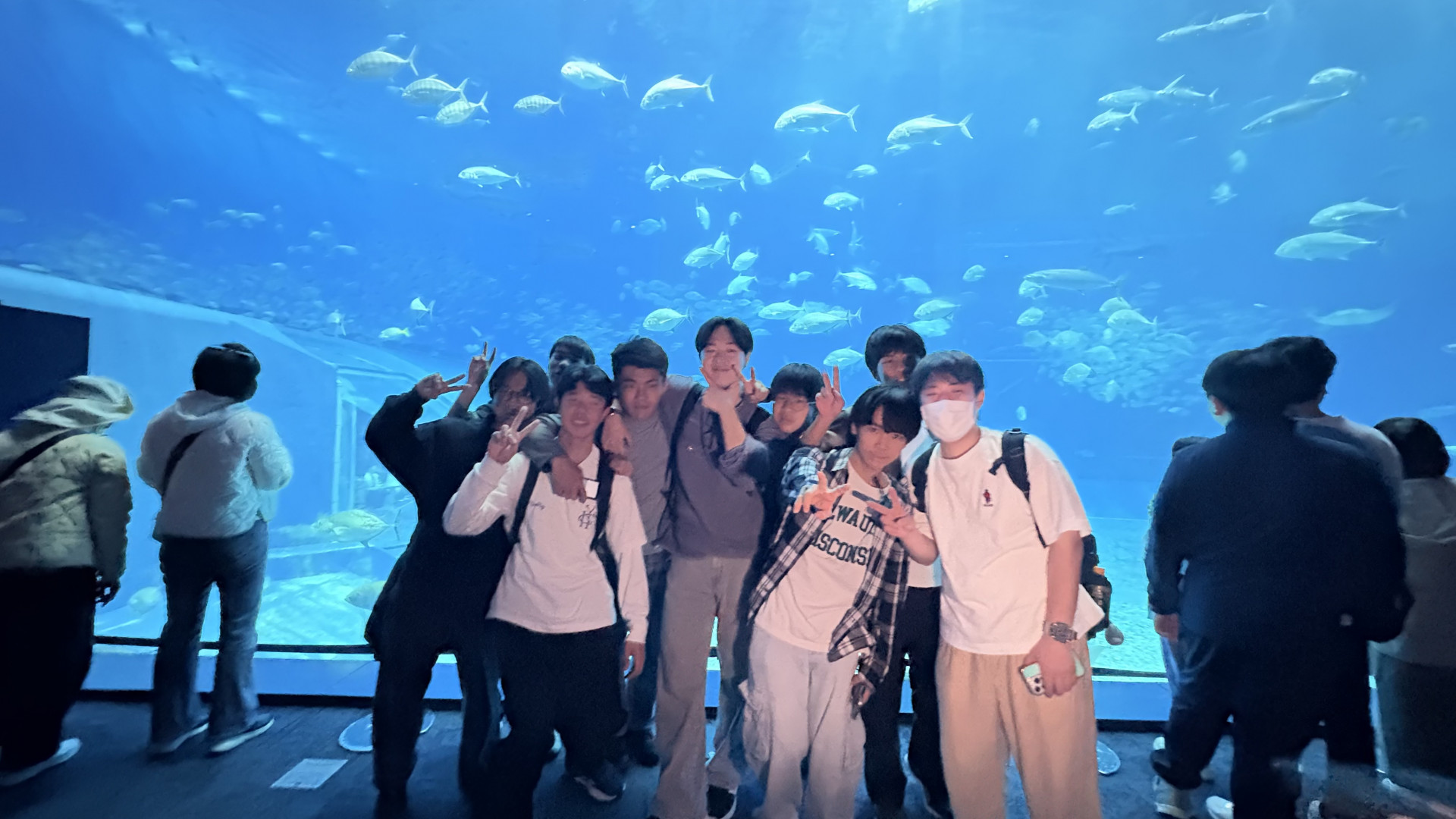 Image - 2026-02-10T170457.921